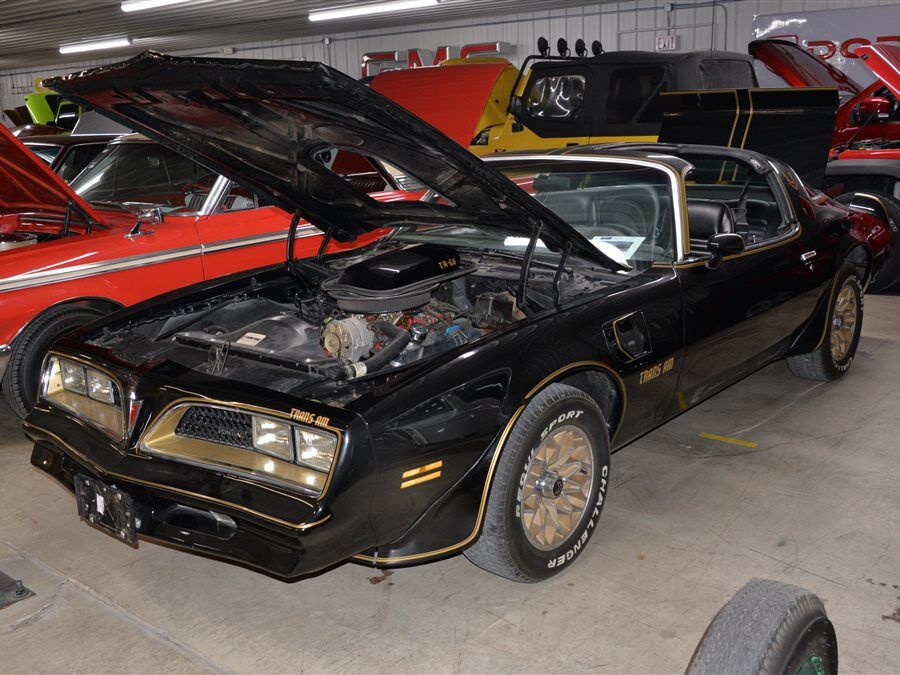 1978 Pontiac Firebird Trans Am | Platinum Database - Sports